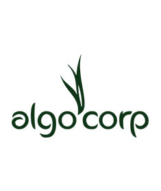algocorp.com